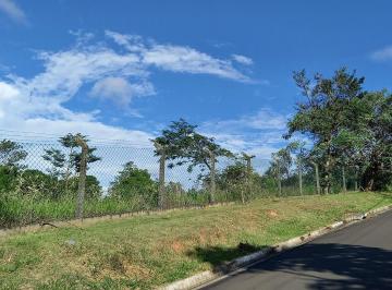 Terreno · 6500m² · Terreno para venda em Bosque de 6500.00m²