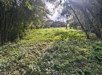 c2f3ed15129b598cf866bec51cd4c0fb2ec46a2c · Terreno à venda, 4700 m² por R$ 700.000 - Rondinha - Campo Largo/PR
