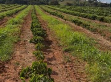 Imagem 1 · Fazenda