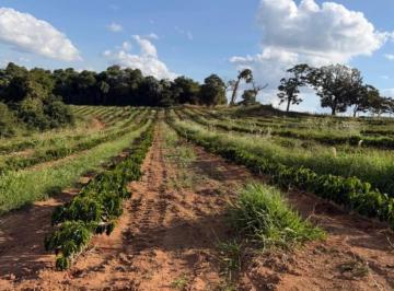 Imagem 1 · Fazenda para venda em Centro, Machado
