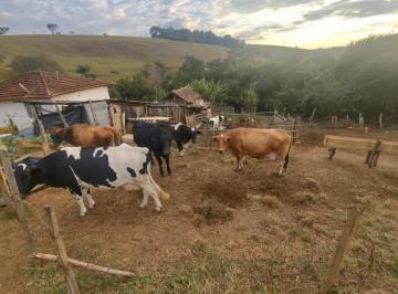Imagem 1 · Fazenda