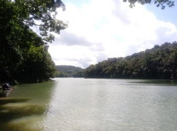 Rural de 1 quarto, Miracatu · Chácara de 12 mil metros pé na represa em Miracatu SP