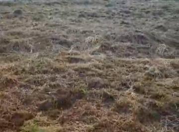 Terreno · 150m² · TERRENO COND VITTA TOLAINE - JANDIRA