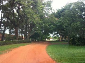 Foto 01 · *EXCELENTE FAZENDA EM CANA A VENDA NA REGIÃO DE PRESIDENTE PRUDENTE-SP* ?? Área Total: 1.241,51 A