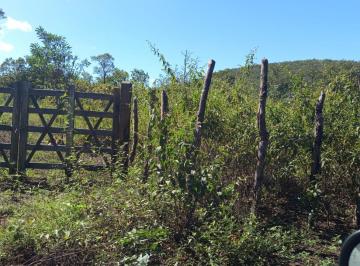 Terreno en Venda  Coronel Otaviano Alves · São 4,5 tarefas de terra a 7km de Tanquinho de Lençóis, na área do morro redond