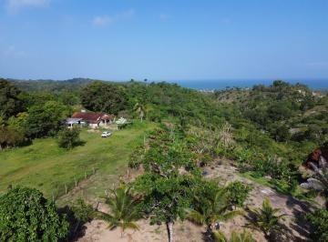 5060264399125286031.jpg · Rural para Venda em Itacaré/BA - 4 Dorm. 230000 m2 Área Útil