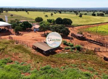 Rural , João Pinheiro · Fazenda a venda em Joao Pinheiro-MG - 530 Hectares - FAZENDA 100% PLANA TODA MECANIZAVEL
