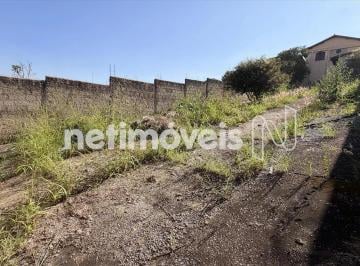 Terreno · 500m² · 1 Quarto · Lote com 500m²; à venda no São Tomáz