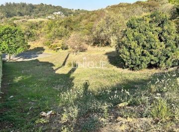 Terreno · 1000m² · Tereno à venda no Jardim do Ribeirão II em Itupeva - SP.