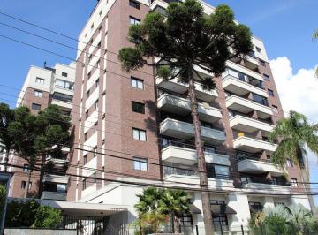 Apartamento · 36m² · 1 Quarto · 1 Vaga · Apartamento para aluguel - em Mercês