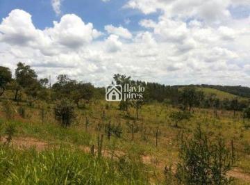 Terreno · 62000m² · Terreno à venda - na Cidade Nova 1