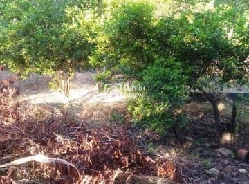 Terreno · 5600m² · Terreno à venda - no Bom Retiro