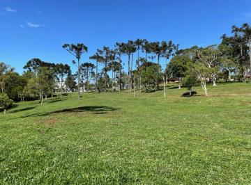 Foto 01 · Terreno à venda em Campo Alegre-SC, bairro Bateias de Baixo, com 15.000m² de área!