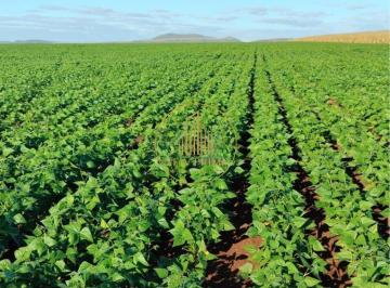 Rural · 510m² · 1 Quarto · 4 Vagas · Fazenda à venda, 1 quarto, 1 suíte, 4 vagas, Área Rural de Unaí - Unaí/MG