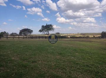 Rural · 26m² · Haras, Área Rural de Itapetininga, Itapetininga - R$ 14 mi, Cod: HA0001
