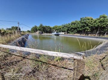 Rural , Pirapora · Fazenda de 1000 hectares na beira do rios das velhas próximo a Pirapora - MG