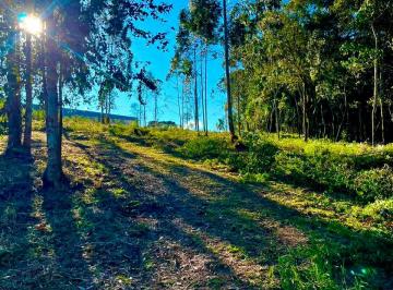 Terreno , Campo Largo · Terreno de Chácara à Venda em Campo Largo – 6.000m²