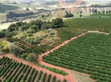 Foto 01 · Excelente fazenda cafeeira à venda na região de Ibiraci