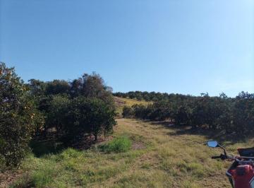 Rural · 10m² · Sítio em Limeira