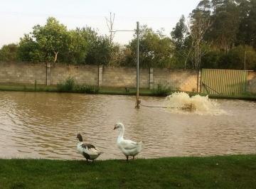 Rural · 450m² · 4 Quartos · Chácara em Limeira