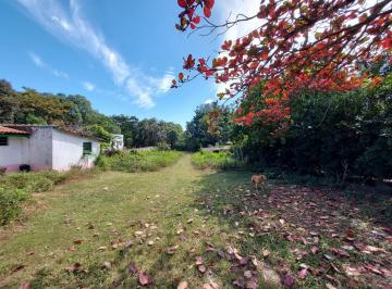 Terreno · 1985m² · Terreno à Venda em Fazenda Santa Lúcia Americana
