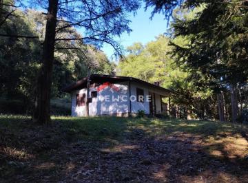 Rural · 60m² · 3 Quartos · Chácara em Estrada Samambaia - Samambaia - São Francisco de Paula/RS