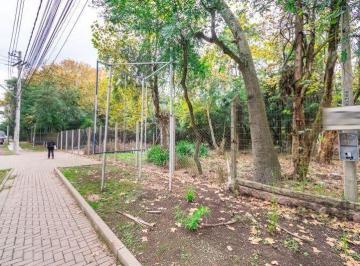 Terreno · 7267m² · Terreno para aluguel - em Pedra Redonda