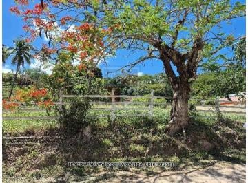 Foto 1 · R$ 251.101,83 - Casa - RJ - PARAIBA DO SUL - BAIRRO MARRECAS