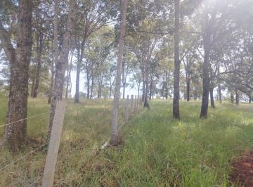 0bf5d940cebf4226a528efd4fff6012e.jpg · Rural para Venda em Uberlândia/MG - 5 Dorm. 2686 ha Área Útil