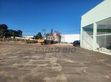 Comercial · 5469m² · Comercial para aluguel - no Morro Amarelo