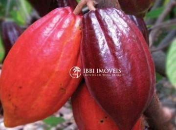 6d1d52431b4449ed8a7d37889e6f1c4d8ec722d2 · Fazenda de cacau Bahia