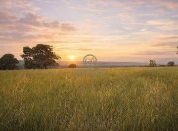 Vista panorâmica do entardecer sobre a área de pastagem na região de Nova Xavantina - MT. Topografia plana que favorece o manejo integrado. · Fazenda de 30 Mil Hectares à Venda em Nova Xavantina - MT