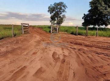 Porteira e acesso principal da fazenda em Paraíso das Águas - MS, demonstrando excelente segurança e privacidade. · Fazenda em Paraíso das Águas MS | 588 ha à Venda e Permuta