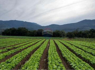 Terreno · Terreno Rural a venda em Terra de Areia.