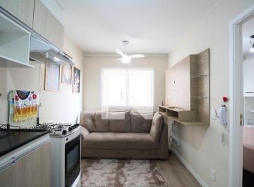 Apartamento · 36m² · 1 Quarto · Apartamento para Aluguel - Panamby, 1 Quarto, 36 m² - São Paulo