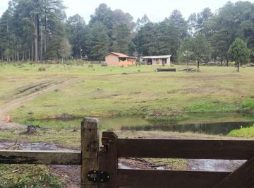 Rural de 2 quartos, Balsa Nova · CHÁCARA PARQUE SÄO LUIZ DO PURUNÄ, BALSA NOVA - PR