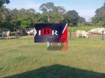 4f1c9cbdd9ab3b4ed266c69f1ae6e2e65caa8b41 · Fazenda em Itiquira - MT