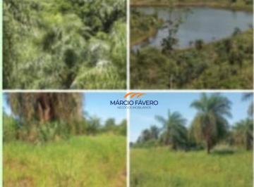 Imagem 1 · Fazenda
