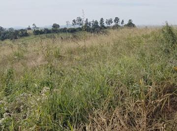 Imagem 1 · Fazenda