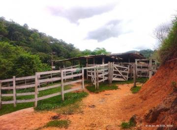 Imagem 1 · Terreno para venda em Sapucaia