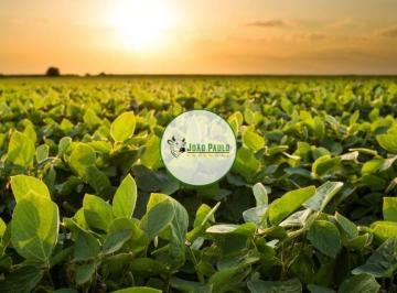 Rural , Patos de Minas · Fazenda para arrendamento na Região do Alto Paranaíba-MG - 3.500 Hectares - 3.000 HA de lavoura