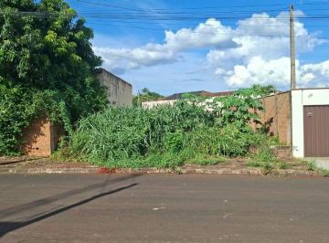 Terreno , Santa Cruz das Palmeiras · Terreno área total 200m² - Jd Arlindo Ramos - Santa Cruz das Palmeiras