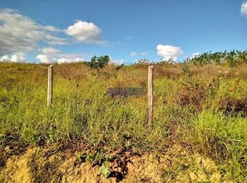 Comercial · 18000m² · Área à venda, 18000 m² por R$ 1.800.000,00 - Barbados - Colatina/ES