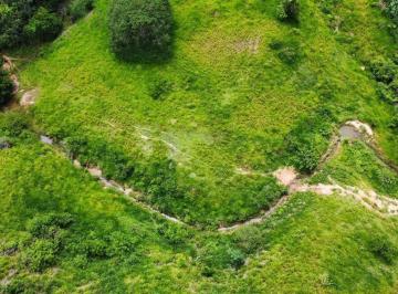 Rural · 6098400m² · Fazenda à Venda - Baixo Guandu