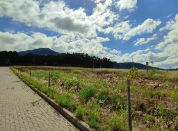 Terreno , Sapiranga · Terreno de 300,00M2 NO BAIRRO AMARAL RIBEIRO EM SAPIRANGA