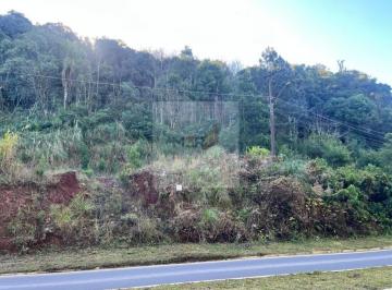 Foto 01 · Terreno à Venda na RS-235 Linha Imperial Nova Petrópolis | Próximo a Gramado