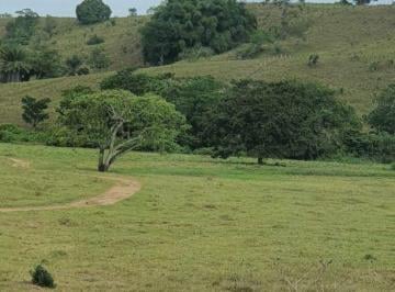 Terreno , Ibiúna · O sonho da sua chácara pode começar com uma única decisão