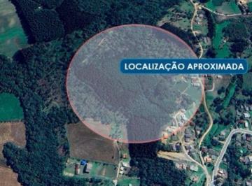 Imóvel Rural 30.773 m² - Alto das Palmeiras - Rio Negro - PR - Foto [0] · Imóvel Rural 30.773 m² - Alto das Palmeiras - Rio Negro - PR