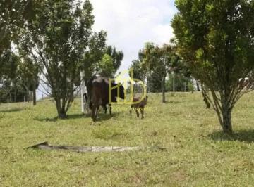 Rural de 2 quartos, Piedade · Fazenda / Sítio para venda em Sarapui De Cima de 10.00m² com 2 Quartos e 10 Garagens