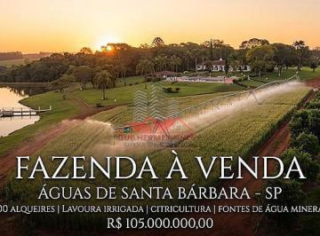 Complexo agrícola de altíssima produtividade com 300 alqueires em Águas de Santa Bárbara - SP. Infraestrutura completa que une lavoura irrigada por pivô central, citricultura de ponta, riqueza hídrica e sede de alto padrão. · Fazenda à Venda em Águas de Santa Bárbara SP | 300 Alq